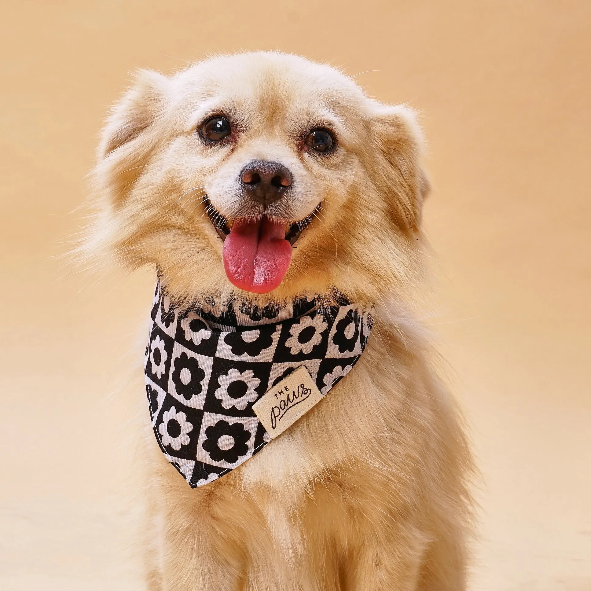 Bandana Tux