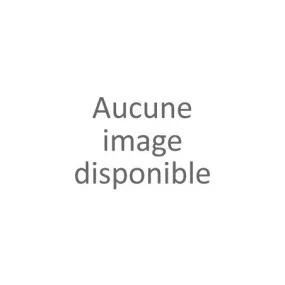 Sac banane uni femme